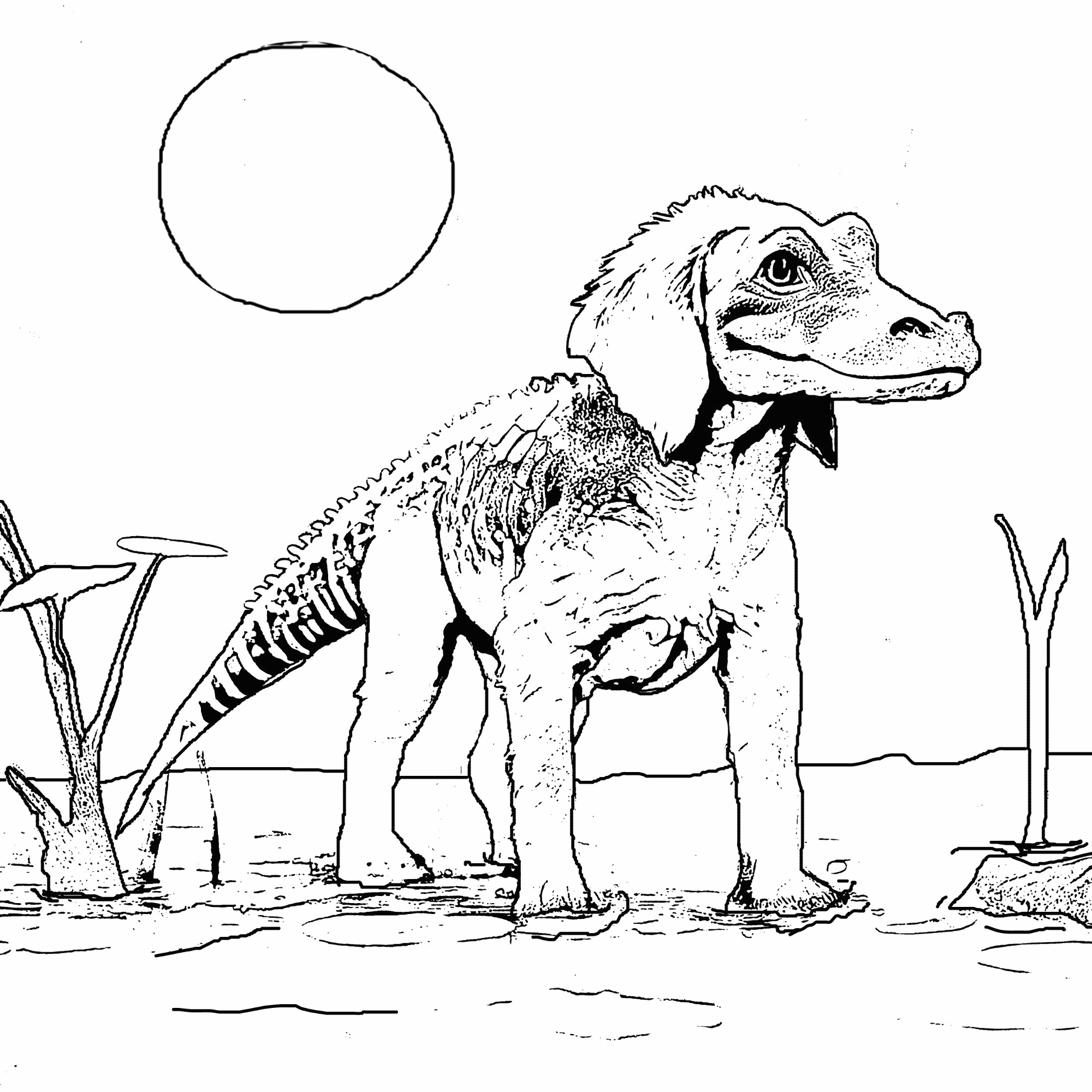 Crocadoodle Coloring Page