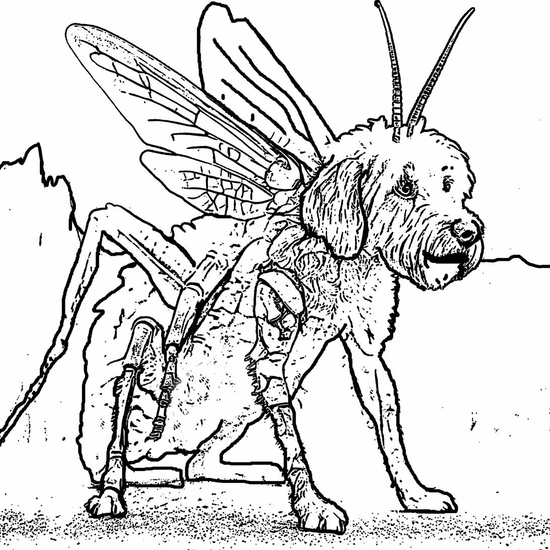 Grasshopperdoodle Coloring Page